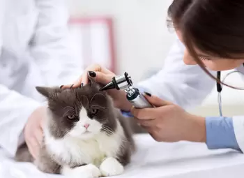 veterinary-instruments-158432-1760594049